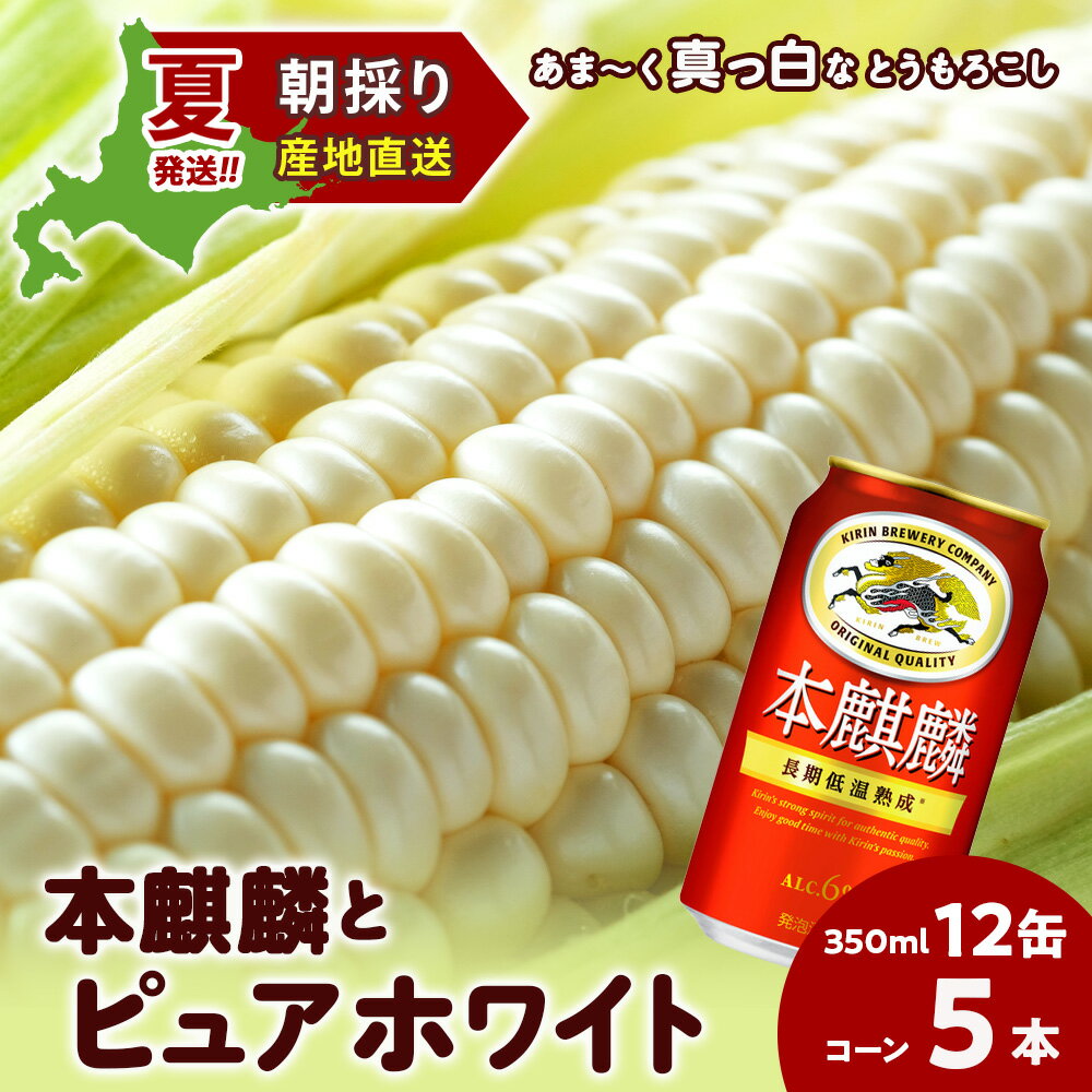 2026年夏発送 キリン本麒麟350ml 12缶＆白いとうもろこしピュアホワイト5本 北海道千歳産 野菜 とうもろこし とうきび キリンビール 麒麟ビール ビール 【北海道千歳市】ビール ギフト ふるさと納税 KIRIN