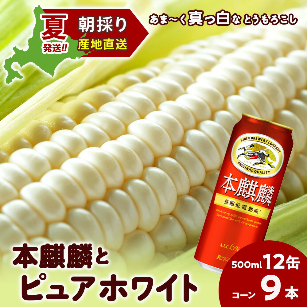 2026年夏発送 キリン本麒麟500ml 12缶＆白いとうもろこしピュアホワイト9本 北海道千歳産 野菜 とうもろこし とうきび キリンビール 麒麟ビール ビール 【北海道千歳市】ギフト ふるさと納税 KIRIN