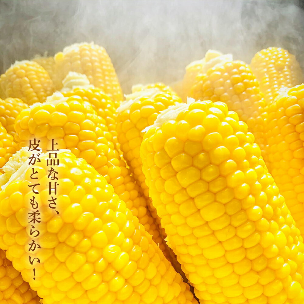 【ふるさと納税】2026年発送予約☆北海道千歳産【Lサイズ以上】朝採りとうもろこし（ゴールドラッシュ）6本 3kg以内【小川農場】 野菜 とうもろこし ゴールドラッシュ トウモロコシ【北海道千歳市】ギフト ふるさと納税 - 画像2