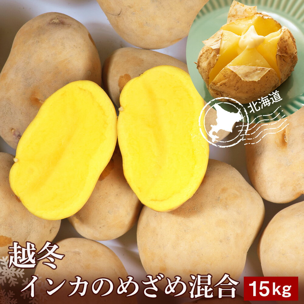 越冬インカのめざめ混合 15kg北海道ふるさと納税 ふるさと納税 北海道 野菜 千歳市 グルメ 野菜 イモ ジャガイモ インカのめざめ【北海道千歳市】ギフト ふるさと納税