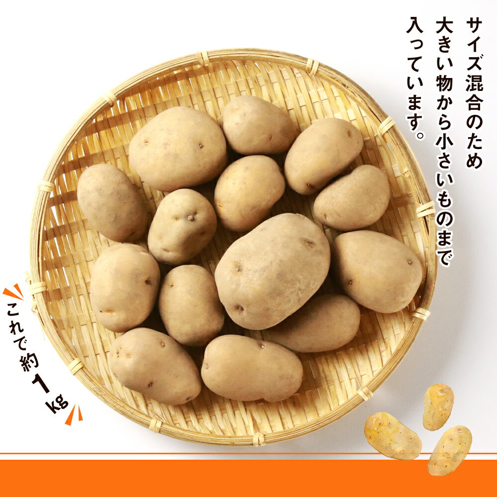 【ふるさと納税】 越冬インカのめざめ混合 15kg北海道ふるさと納税 ふるさと納税 北海道 野菜 千歳市 グルメ 野菜 イモ ジャガイモ インカのめざめ【北海道千歳市】ギフト ふるさと納税 サムネイル3