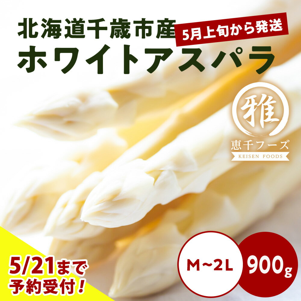 2026年春発送 ホワイトアスパラ 900g M〜2L 北海道千歳産 野菜 ホワイトアスパラ アスパラガス アスパラ 2026年5月中旬〜6月上旬にかけて順次発送　にかけて順次発送 【北海道千歳市】ギフト ふるさと納税