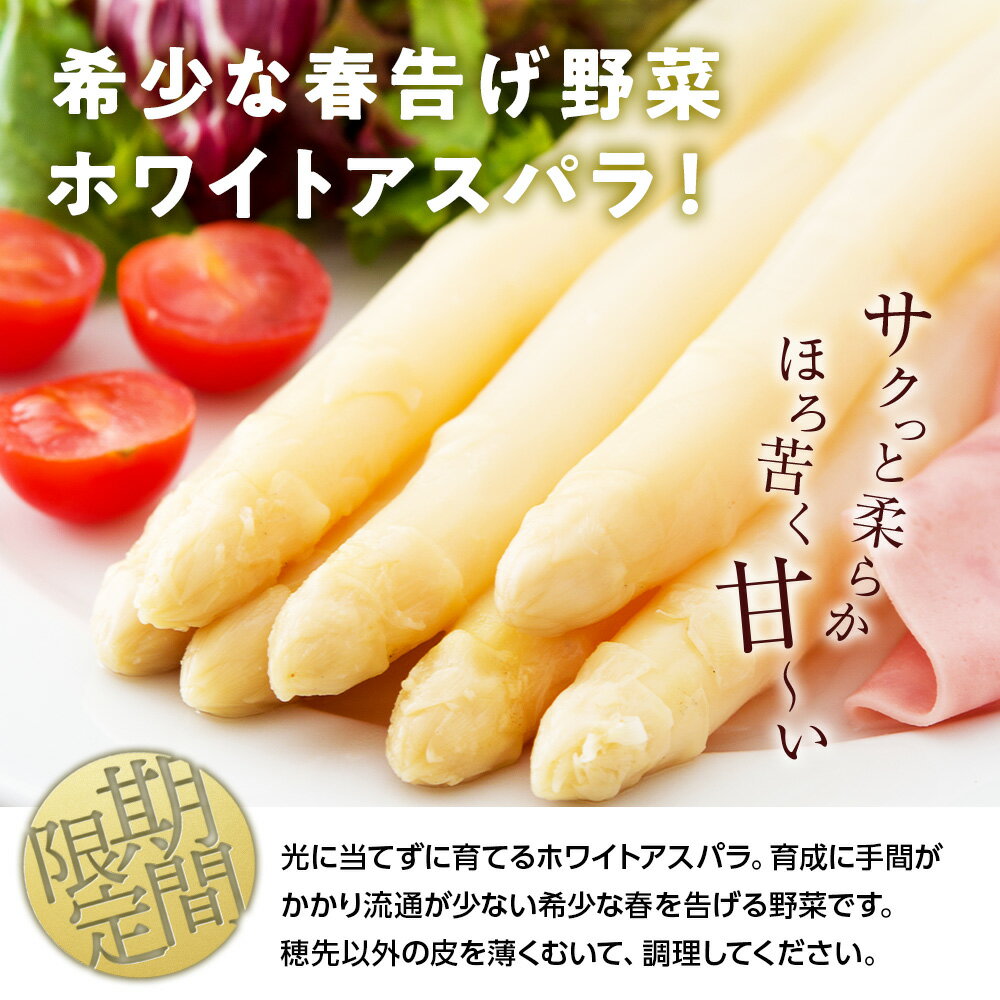 【ふるさと納税】 2026年春発送 ホワイトアスパラ 900g M〜2L 北海道千歳産 野菜 ホワイトアスパラ アスパラガス アスパラ 2026年5月中旬〜6月上旬にかけて順次発送　にかけて順次発送 【北海道千歳市】ギフト ふるさと納税 - 画像2