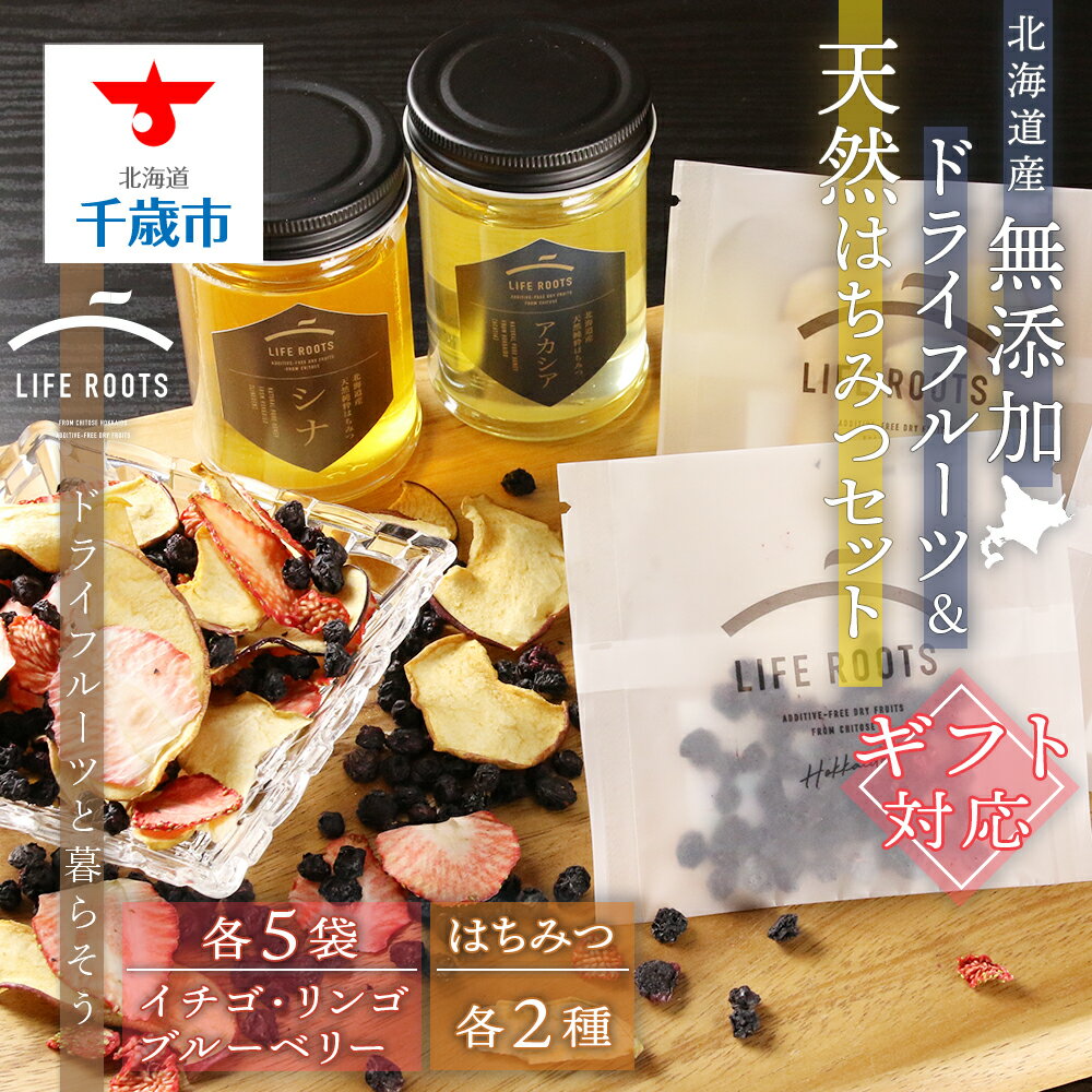 【ギフト用】《北海道産》無添加ドライフルーツ＆北海道産天然はちみつセット 無添加 ドライフルーツ イチゴ ブルーベリー リンゴ アカシア シナ 砂糖不使用 はちみつ【北海道千歳市】ギフト ふるさと納税