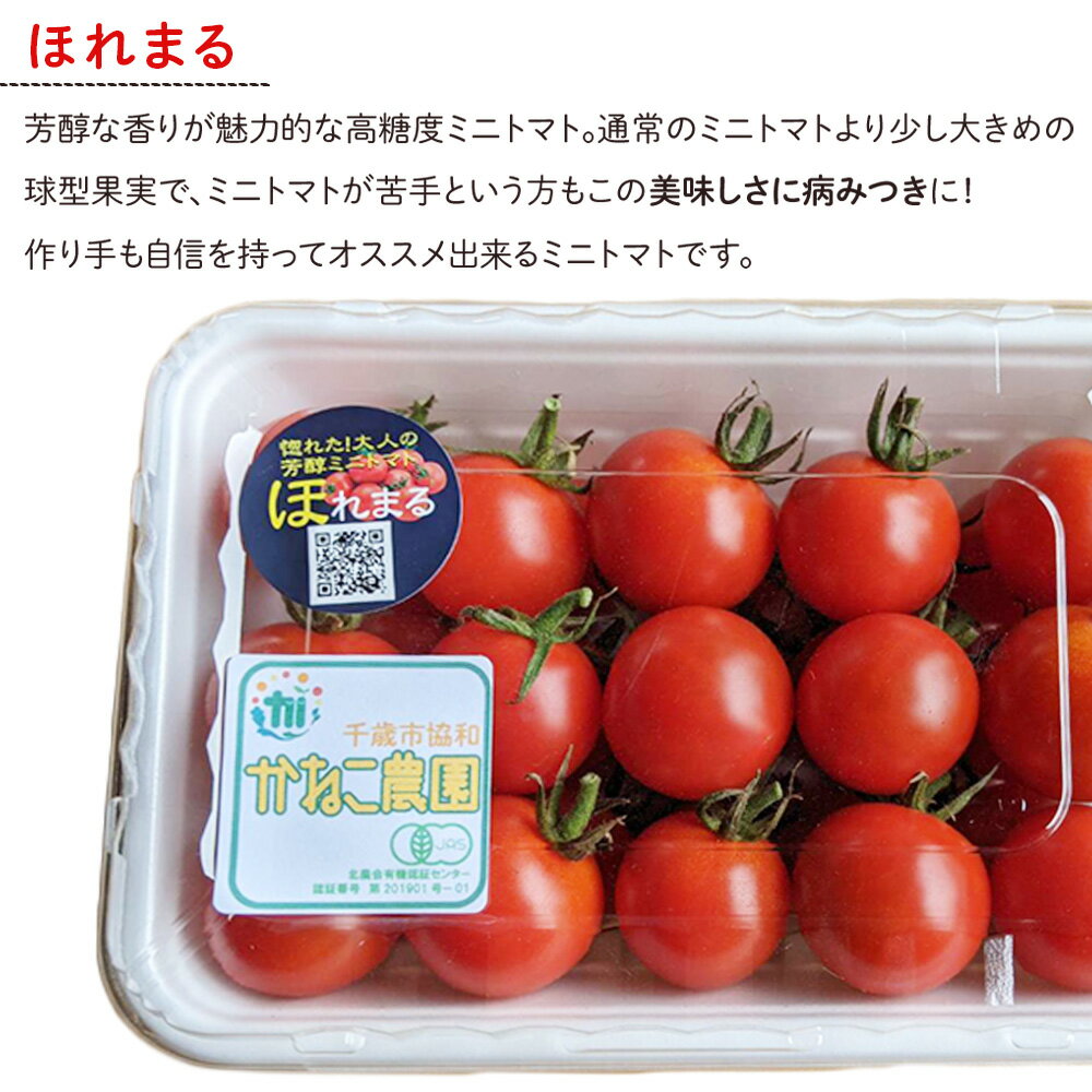 【ふるさと納税】【2026年8月中旬より発送】有機JAS認定！小玉スイカ1玉＆有機ミニトマト500g×2【かねこ農園】北海道ふるさと納税 野菜 ミニトマト 有機栽培 有機スイカ 有機JAS JAS認定圃場 北海道 【北海道千歳市】 - 画像3