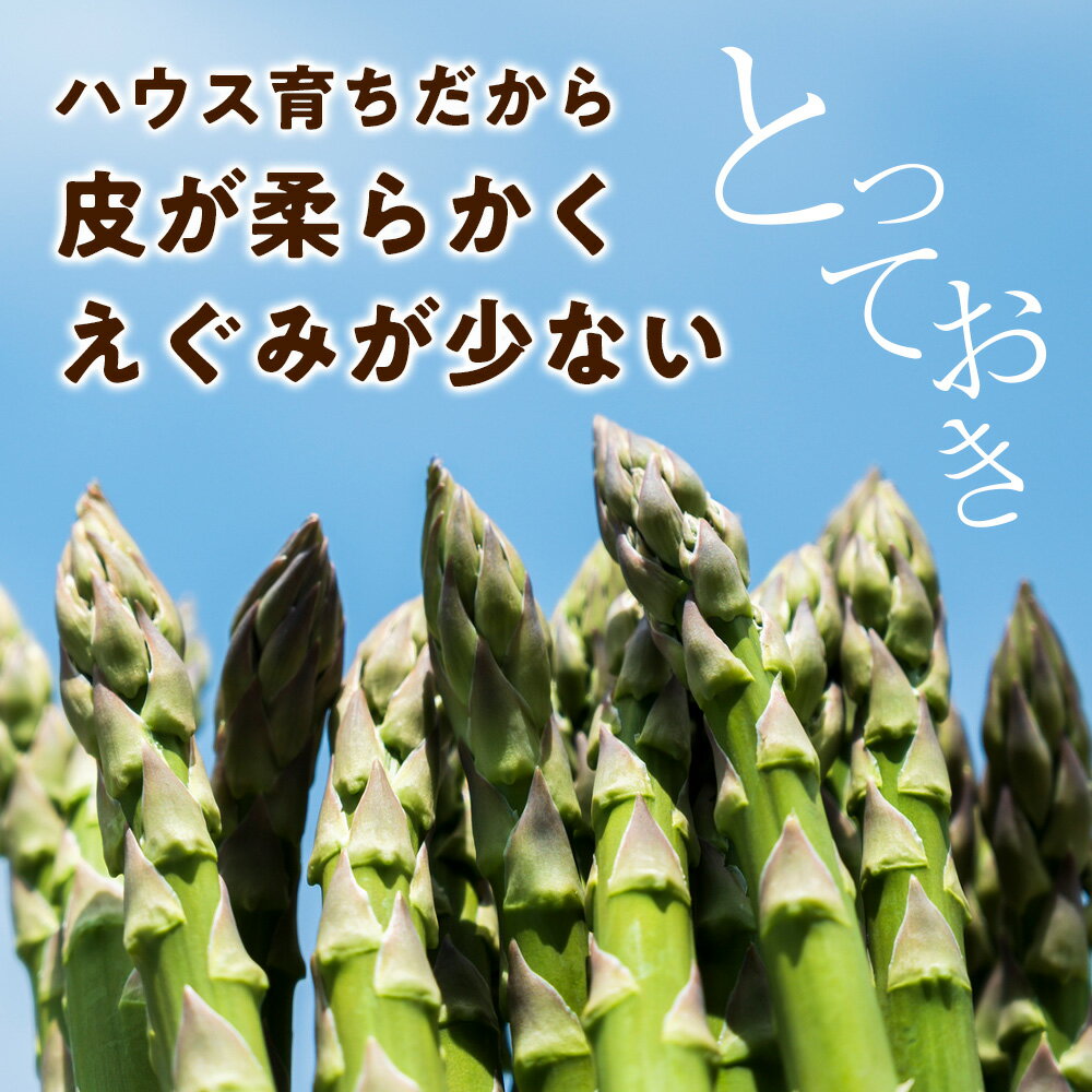 【ふるさと納税】 2026年春発送 ハウスグリーンアスパラ 1kg L〜2Lアップ 北海道千歳産 野菜 アスパラガス アスパラ 2026年4月中旬より順次発送　 北海道ふるさと納税 千歳市 ふるさと納税【北海道千歳市】ギフト ふるさと納税 - 画像2