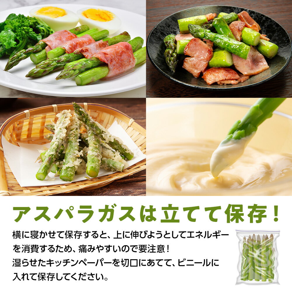 【ふるさと納税】 2026年春発送 ハウスグリーンアスパラ 1kg L〜2Lアップ 北海道千歳産 野菜 アスパラガス アスパラ 2026年4月中旬より順次発送　 北海道ふるさと納税 千歳市 ふるさと納税【北海道千歳市】ギフト ふるさと納税 - 画像3