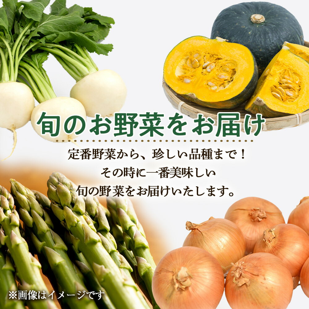 【ふるさと納税】【2026年発送予約】定期便4回 旬の野菜を「年4回」お届け《土居ファーム》 アスパラ カブ ブロッコリー キャベツ とうもろこし じゃがいも 南瓜 ニンニク 人参 玉ねぎ 豆 やさい 千歳 北海道 北海道ふるさと納税 【北海道千歳市】ギフト ふるさと納税 - 画像2