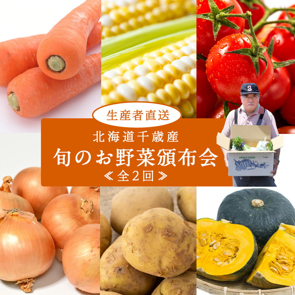 【2026年発送予約】定期便2回 旬の野菜を「年2回」お届け《土居ファーム》 とうもろこし キャベツ トマト 人参 じゃがいも カボチャ 玉ねぎ にんにく 人参 豆 鷹の爪 ヤーコン 旬 千歳 北海道 北海道ふるさと納税 【北海道千歳市】ギフト ふるさと納税