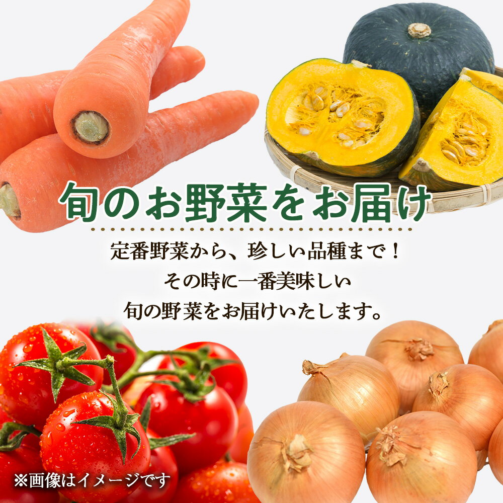 【ふるさと納税】【2026年発送予約】定期便2回 旬の野菜を「年2回」お届け《土居ファーム》 とうもろこし キャベツ トマト 人参 じゃがいも カボチャ 玉ねぎ にんにく 人参 豆 鷹の爪 ヤーコン 旬 千歳 北海道 北海道ふるさと納税 【北海道千歳市】ギフト ふるさと納税 - 画像2