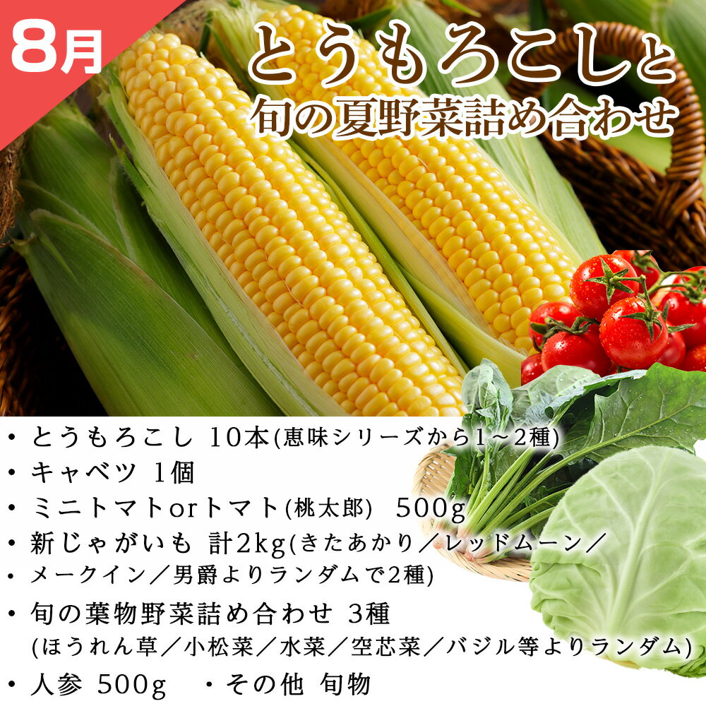 【ふるさと納税】【2026年発送予約】定期便2回 旬の野菜を「年2回」お届け《土居ファーム》 とうもろこし キャベツ トマト 人参 じゃがいも カボチャ 玉ねぎ にんにく 人参 豆 鷹の爪 ヤーコン 旬 千歳 北海道 北海道ふるさと納税 【北海道千歳市】ギフト ふるさと納税 - 画像3