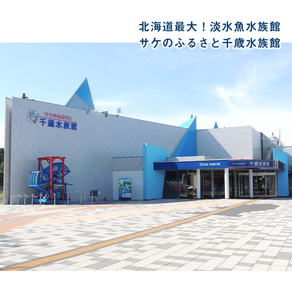 【ふるさと納税】【サケのふるさと 千歳水族館】年間パスポート（大人1枚/Aデザイン）鮭 サケ 千歳市 水族館 年間 パスポート 北海道 水中観察窓 大水槽 観光 北海道ふるさと納税 千歳市 ふるさと納税【北海道千歳市】 - 画像2