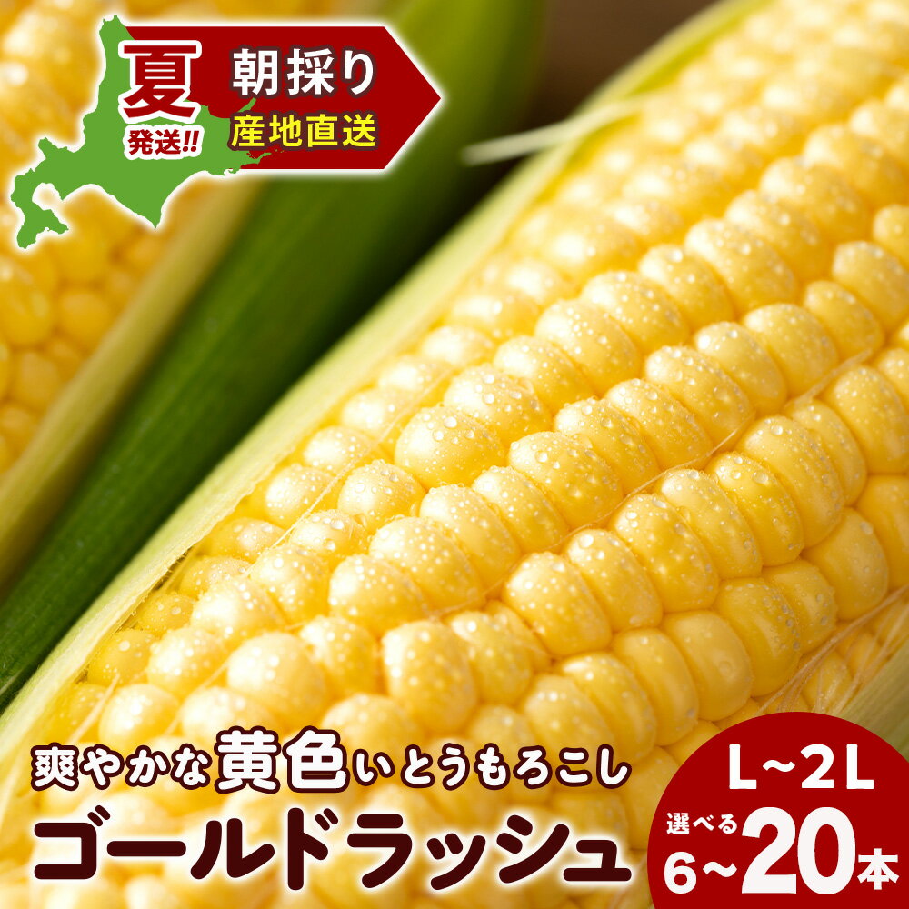2026年夏発送 とうもろこし ゴールドラッシュ L〜2L 選べる6本～20本 北海道千歳産 野菜 とうもろこし【北海道千歳市】ギフト ふるさと納税