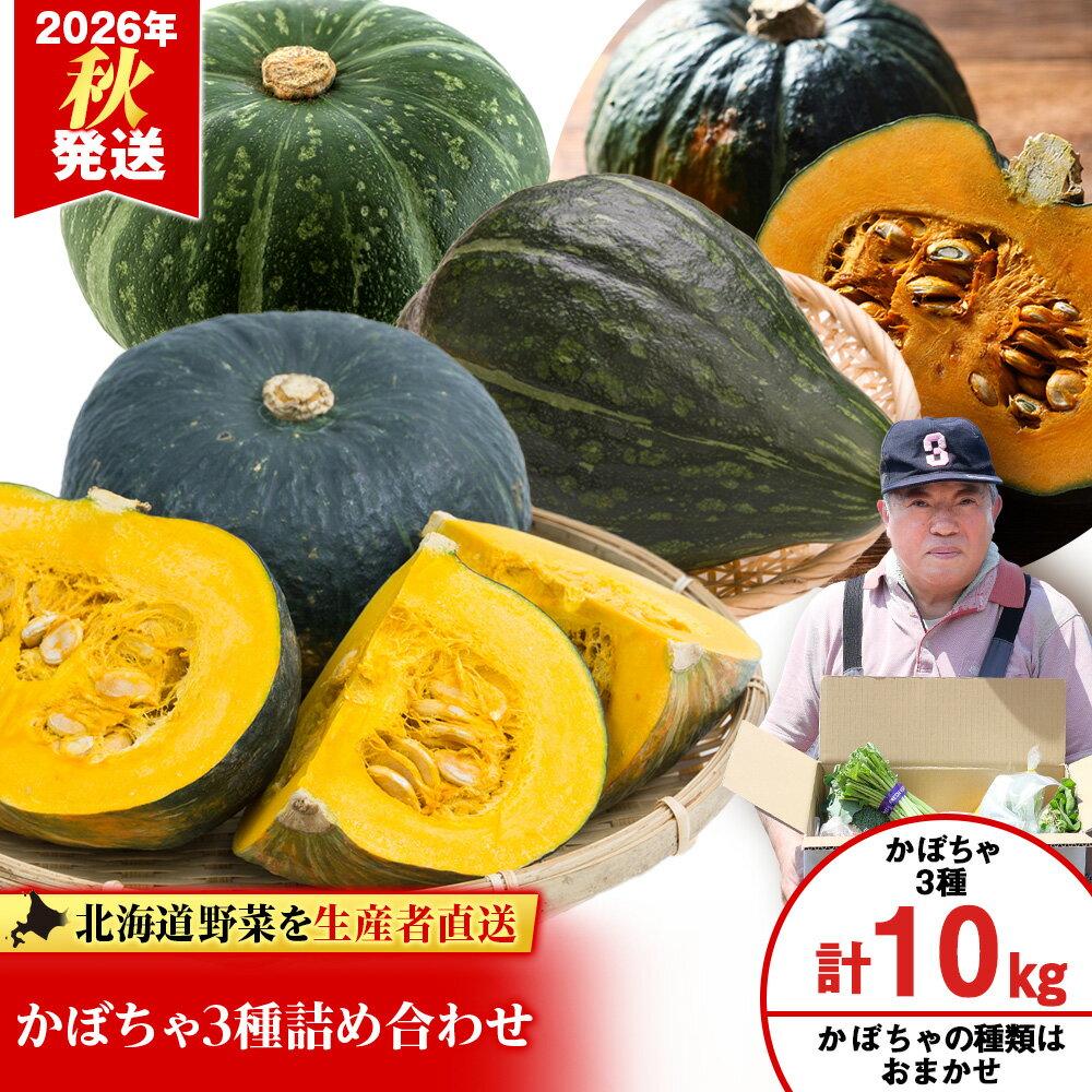 2026年発送 かぼちゃ3種 詰め合わせ 計10kg《土居ファーム》 野菜 かぼちゃ 九重栗 夢味 ロロン 坊ちゃん・栗坊 南瓜 カボチャ 北海道ふるさと納税 千歳市 ふるさと納税【北海道千歳市】ギフト ふるさと納税