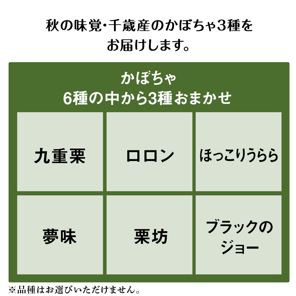 【ふるさと納税】2026年発送 かぼちゃ3種 詰め合わせ 計10kg《土居ファーム》 野菜 かぼちゃ 九重栗 夢味 ロロン 坊ちゃん・栗坊 南瓜 カボチャ 北海道ふるさと納税 千歳市 ふるさと納税【北海道千歳市】ギフト ふるさと納税 - 画像2