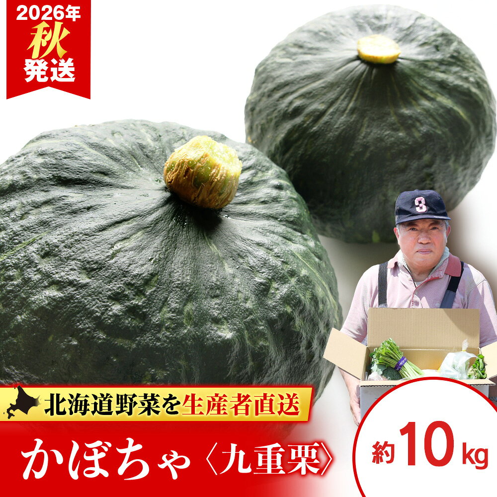 2026年発送 かぼちゃ＜九重栗＞10kg《土居ファーム》 野菜 かぼちゃ 九重栗 南瓜 カボチャ 北海道ふるさと納税 千歳市 ふるさと納税 【北海道千歳市】ギフト ふるさと納税