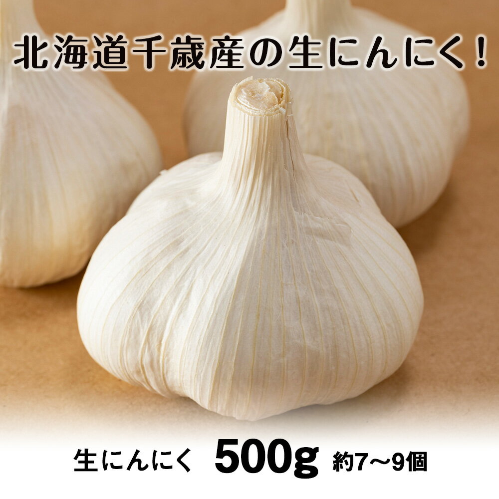 【ふるさと納税】2026年発送 生にんにく約500g【土居ファーム】北海道 千歳 大蒜 にんにく ニンニク 北海道産 生ニンニク 野菜 北海道ふるさと納税 千歳市 ふるさと納税【北海道千歳市】ギフト ふるさと納税 - 画像2