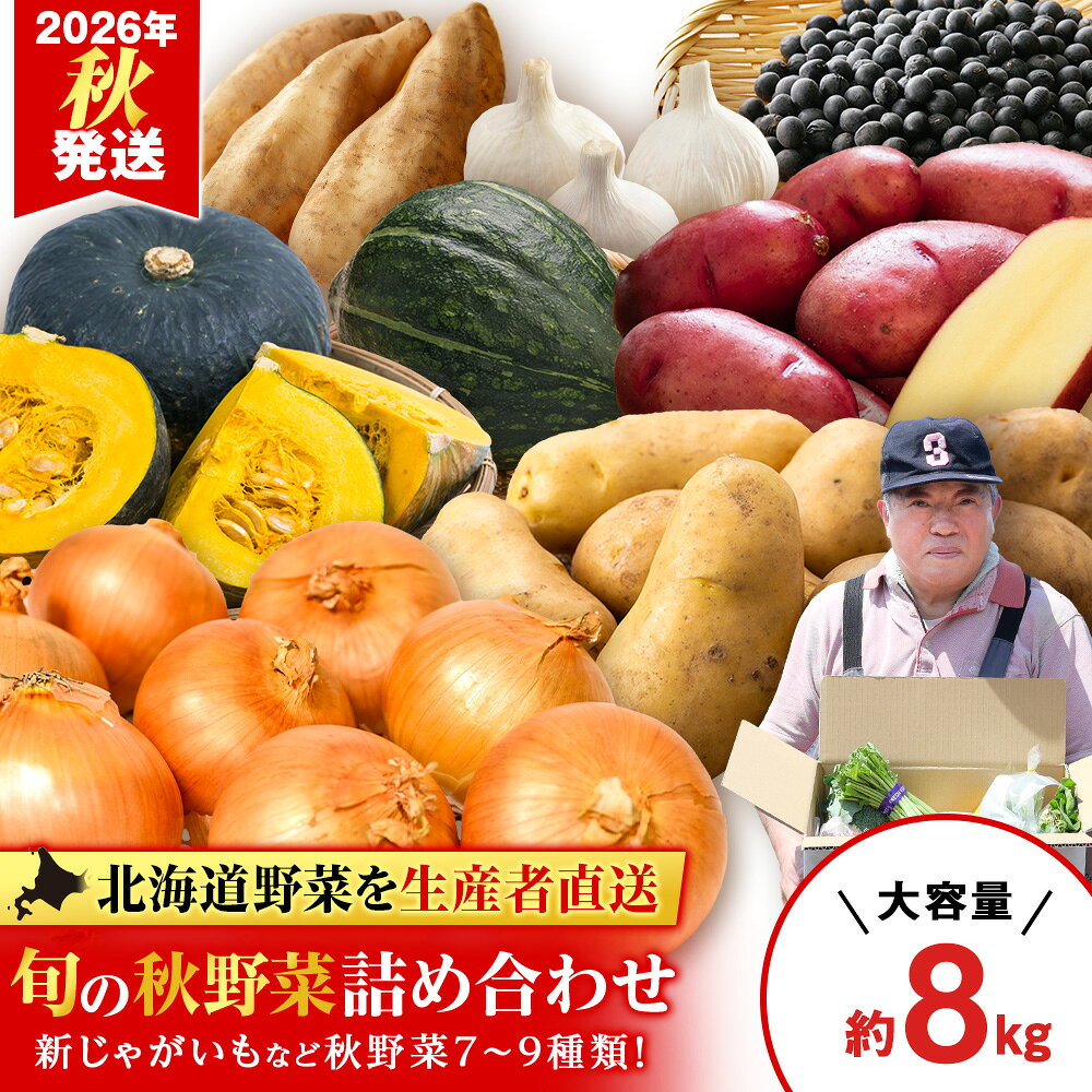 2026年発送 旬の秋野菜詰め合わせ 約8kg《土居ファーム》 野菜 かぼちゃ じゃがいも たまねぎ 南瓜 玉ねぎ セット【北海道千歳市】ギフト ふるさと納税