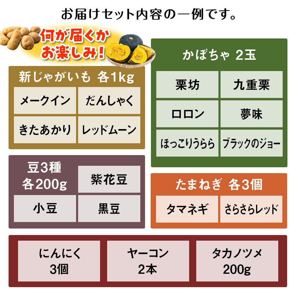 【ふるさと納税】2026年発送 旬の秋野菜詰め合わせ 約8kg《土居ファーム》 野菜 かぼちゃ じゃがいも たまねぎ 南瓜 玉ねぎ セット【北海道千歳市】ギフト ふるさと納税 - 画像2