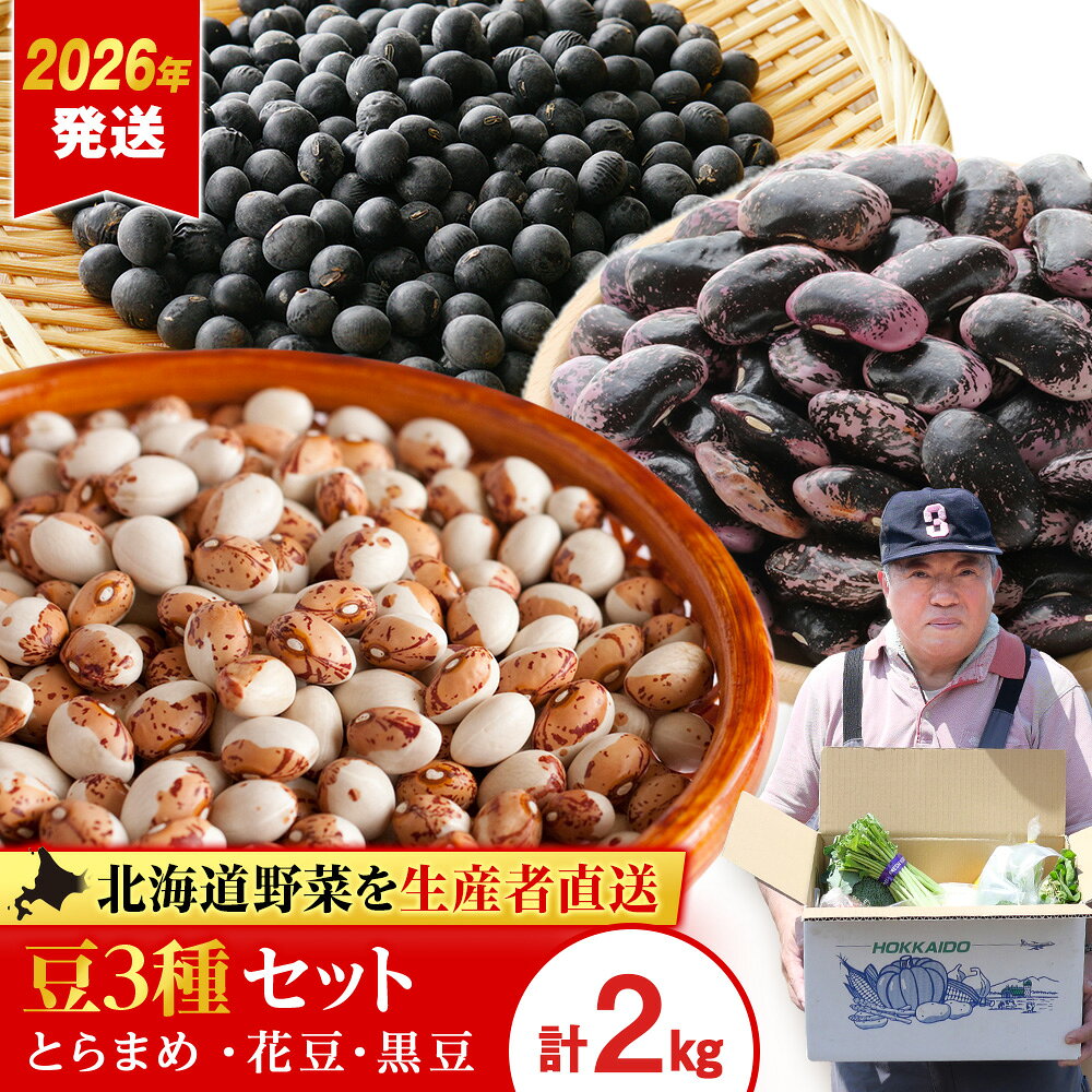 2026年発送 豆 3種 詰め合わせ 計2kg とらまめ 花豆 黒豆 《土居ファーム》 野菜 やさい 小豆 花豆 黒豆 あずき セット【北海道千歳市】ギフト ふるさと納税