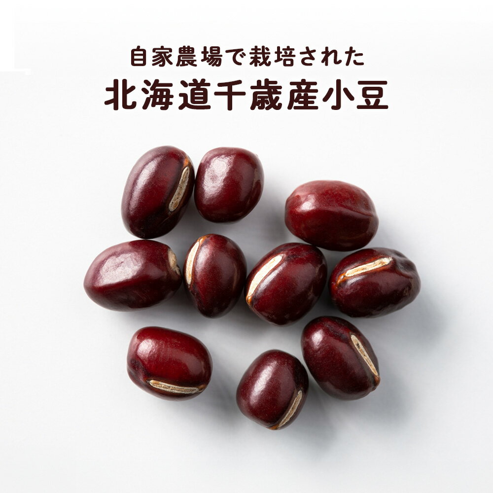【ふるさと納税】2026年発送 小豆 約2kg《土居ファーム》 豆 野菜 やさい 小豆 あずき 北海道ふるさと納税 千歳市 ふるさと納税【北海道千歳市】ギフト ふるさと納税 - 画像2