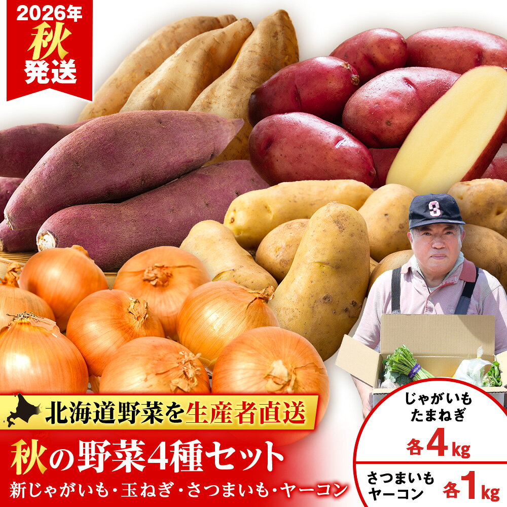 2026年発送 旬のお野菜4種詰め合わせ 10kg以内《土居ファーム》 やさい 野菜 さつまいも ヤーコン じゃがいも 芋 いも たまねぎ 千歳 北海道【北海道千歳市】ギフト ふるさと納税