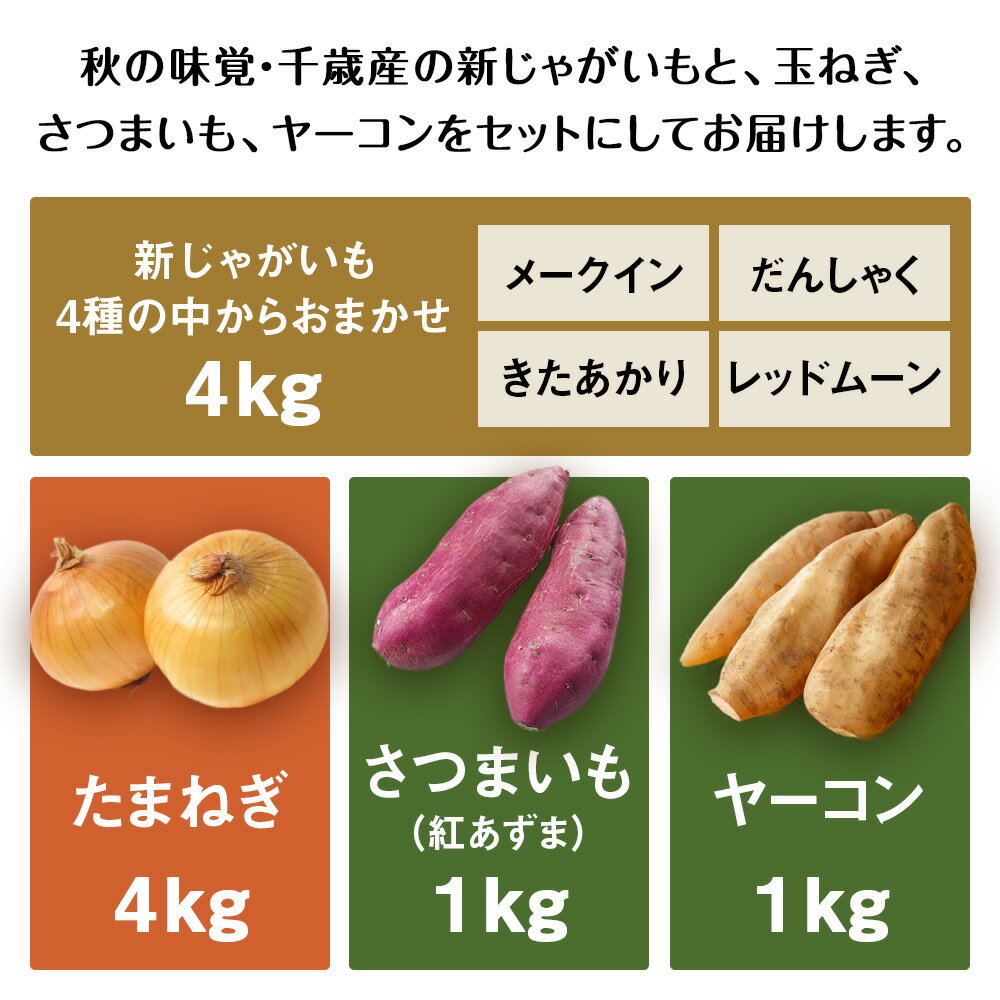 【ふるさと納税】2026年発送 旬のお野菜4種詰め合わせ 10kg以内《土居ファーム》 やさい 野菜 さつまいも ヤーコン じゃがいも 芋 いも たまねぎ 千歳 北海道【北海道千歳市】ギフト ふるさと納税 - 画像2