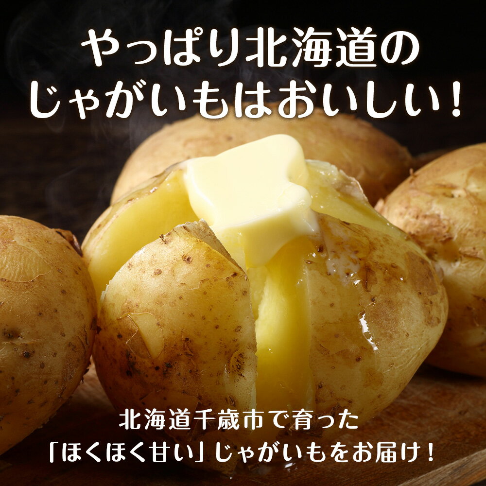 【ふるさと納税】2026年発送 旬のお野菜4種詰め合わせ 10kg以内《土居ファーム》 やさい 野菜 さつまいも ヤーコン じゃがいも 芋 いも たまねぎ 千歳 北海道【北海道千歳市】ギフト ふるさと納税 - 画像3