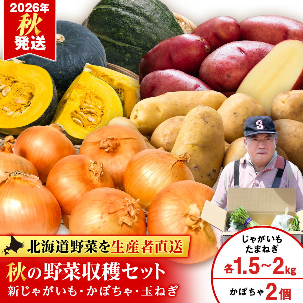 2026年発送 秋の野菜収穫セット かぼちゃ2種セット・たまねぎ 約1.5kg〜2kg・新じゃがいも 約1.5kg〜2kg《土居ファーム》野菜 やさい 南瓜 玉ねぎ 玉葱 じゃがいも 新じゃが 旬 セット 北海道ふるさと納税 千歳市 ふるさと納税【北海道千歳市】