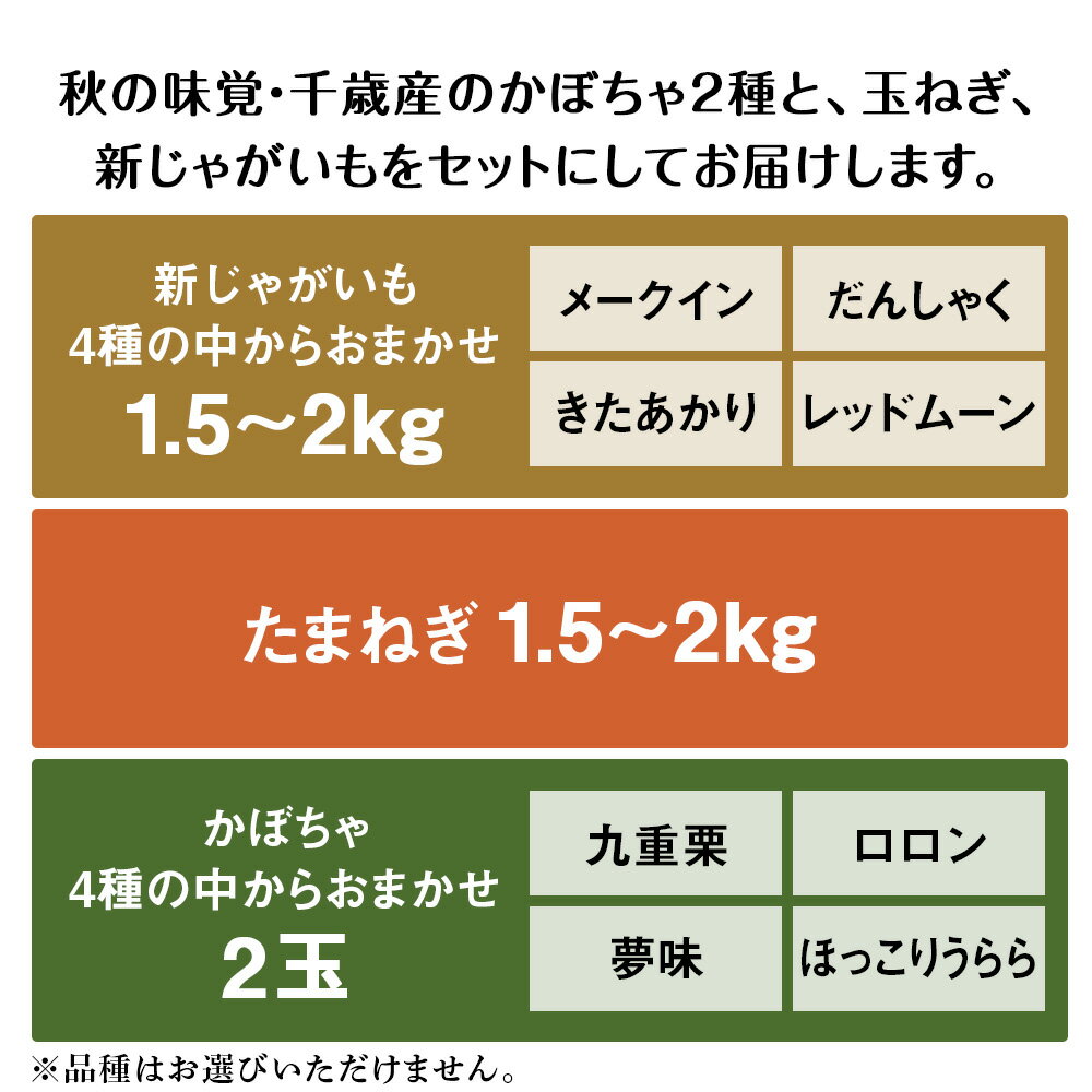 【ふるさと納税】2026年発送 秋の野菜収穫セット かぼちゃ2種セット・たまねぎ 約1.5kg〜2kg・新じゃがいも 約1.5kg〜2kg《土居ファーム》野菜 やさい 南瓜 玉ねぎ 玉葱 じゃがいも 新じゃが 旬 セット 北海道ふるさと納税 千歳市 ふるさと納税【北海道千歳市】 - 画像2