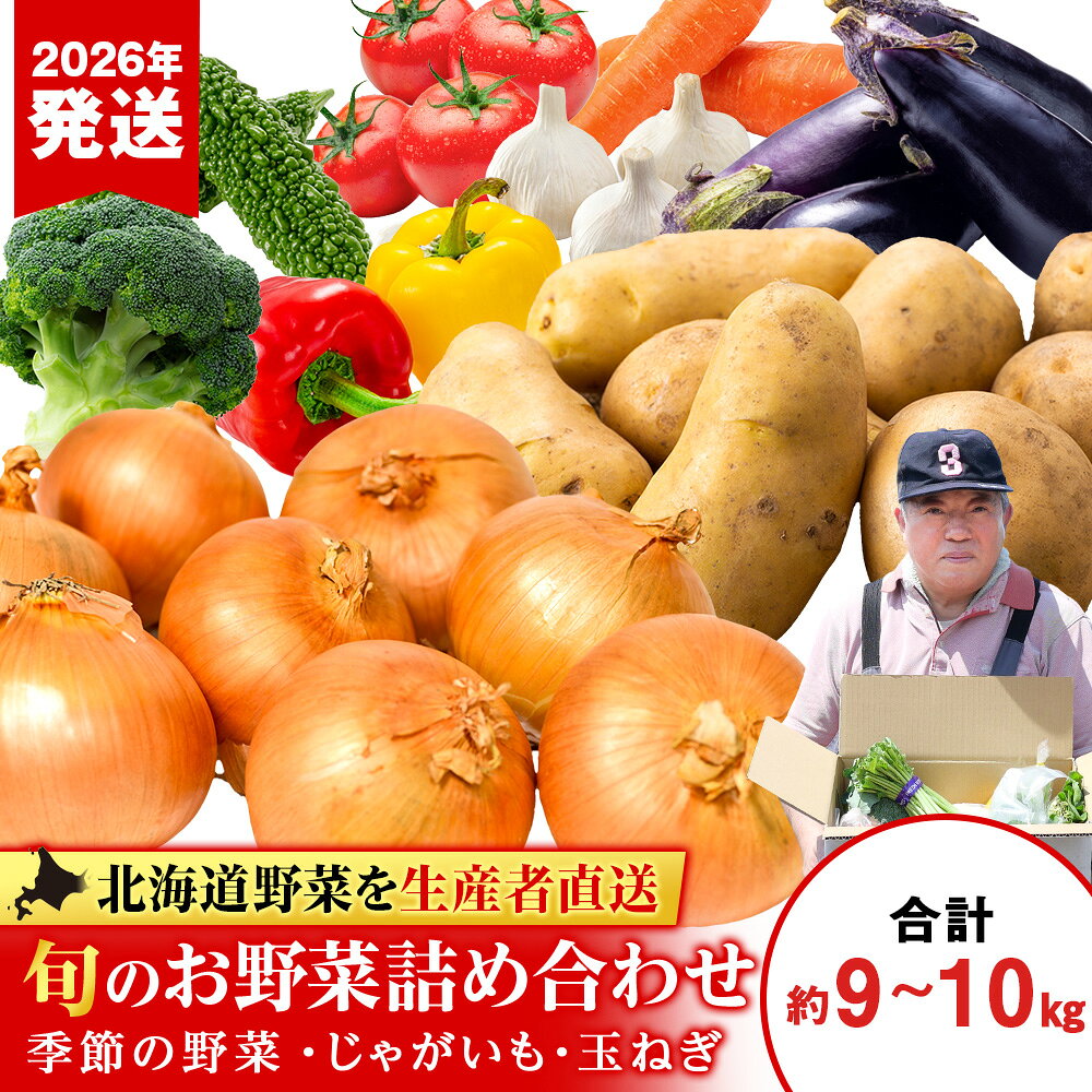 2026年発送 夏の旬の夏野菜詰め合わせ 約9kg〜10kg《土居ファーム》野菜 やさい お楽しみ セット ランダム じゃがいも 玉ねぎ 北海道ふるさと納税 千歳市 ふるさと納税【北海道千歳市】 ギフト ふるさと納税