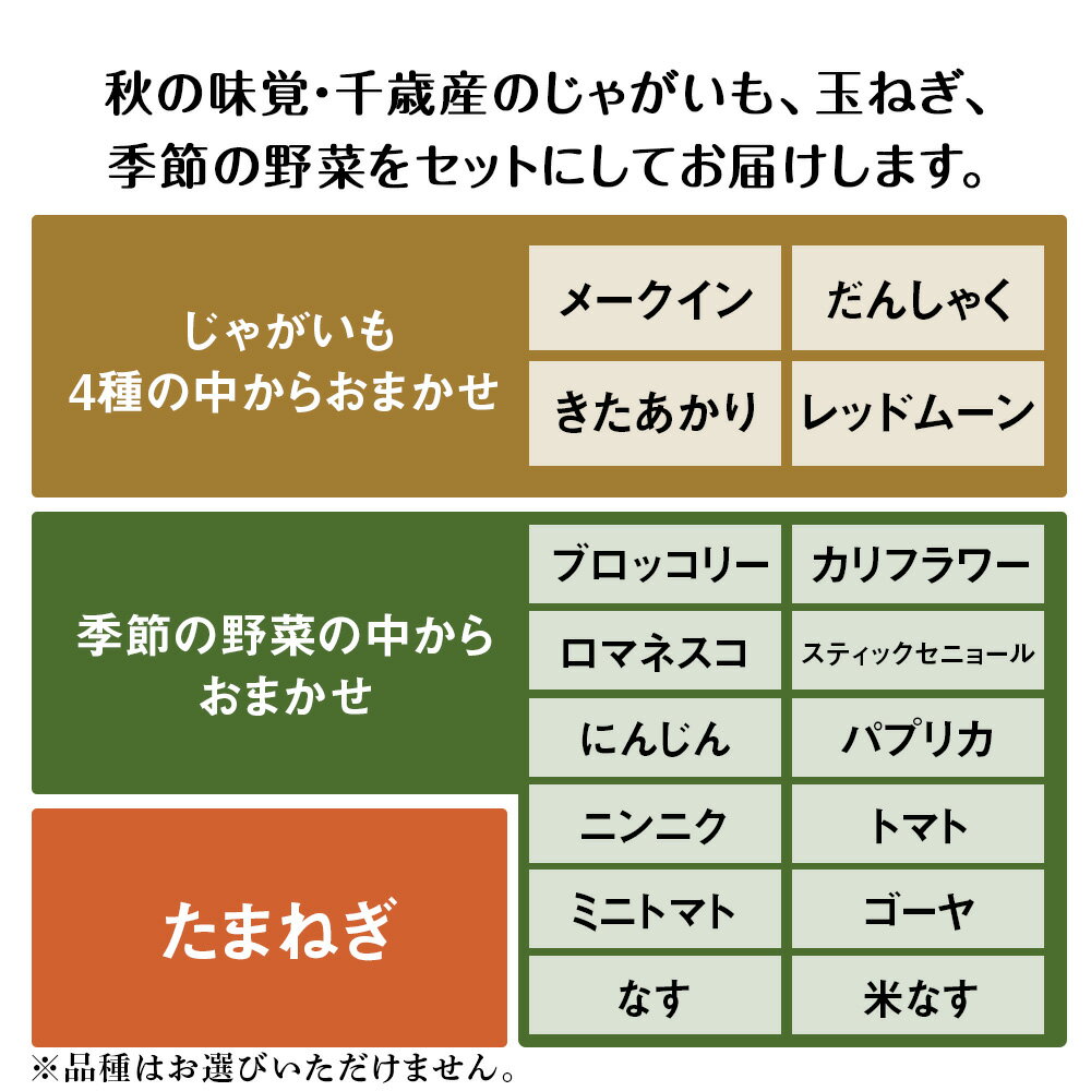 【ふるさと納税】2026年発送 夏の旬の夏野菜詰め合わせ 約9kg〜10kg《土居ファーム》野菜 やさい お楽しみ セット ランダム じゃがいも 玉ねぎ 北海道ふるさと納税 千歳市 ふるさと納税【北海道千歳市】 ギフト ふるさと納税 - 画像2