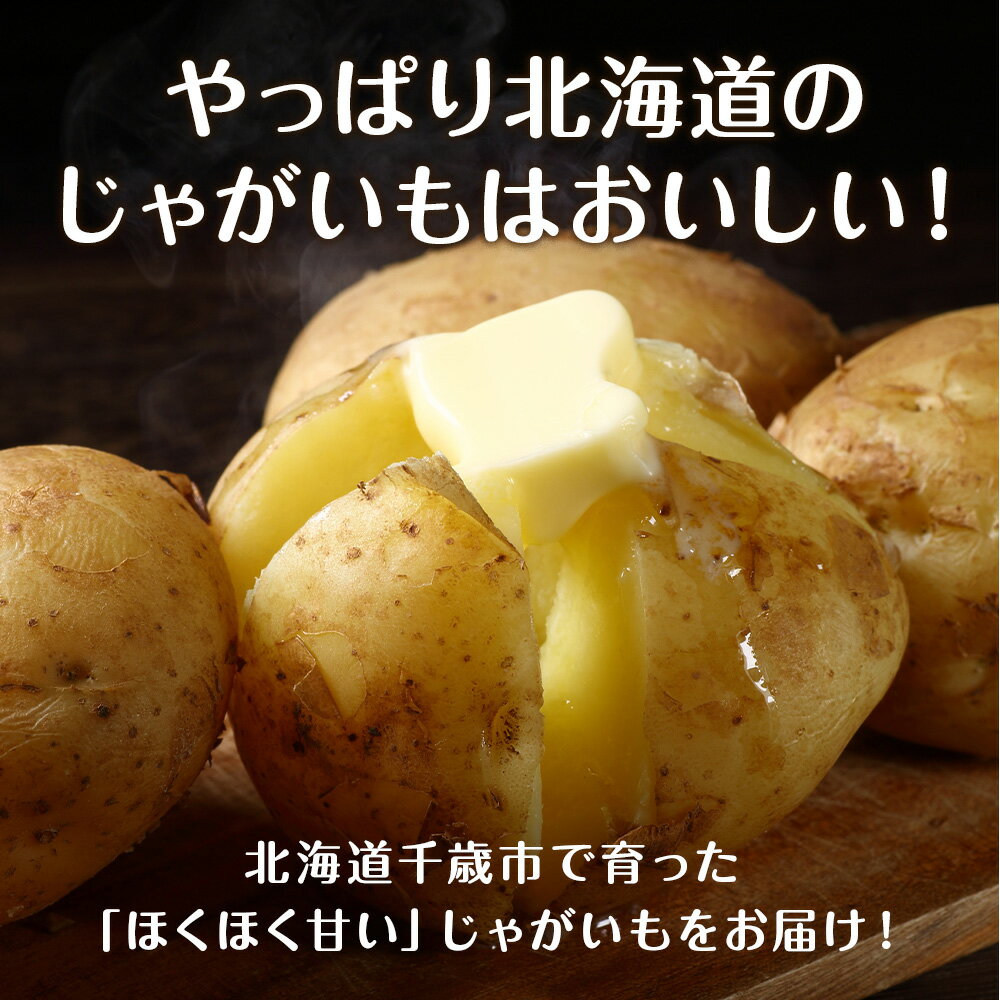 【ふるさと納税】2026年発送 夏の旬の夏野菜詰め合わせ 約9kg〜10kg《土居ファーム》野菜 やさい お楽しみ セット ランダム じゃがいも 玉ねぎ 北海道ふるさと納税 千歳市 ふるさと納税【北海道千歳市】 ギフト ふるさと納税 - 画像3