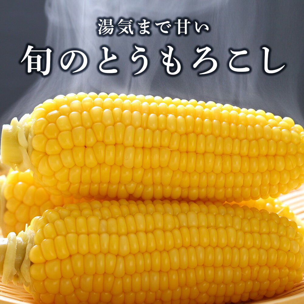 【ふるさと納税】トウモロコシ10本×もりもとハスカップジュエリー4個セット≪土居ファーム≫もりもと morimoto 菓子 洋菓子 ケーキ ハスカップ ジャム ハスカップ 北海道 野菜 とうもろこし 冷蔵 千歳 北海道 北海道ふるさと納税 千歳市 ふるさと納税【北海道千歳市】 - 画像2