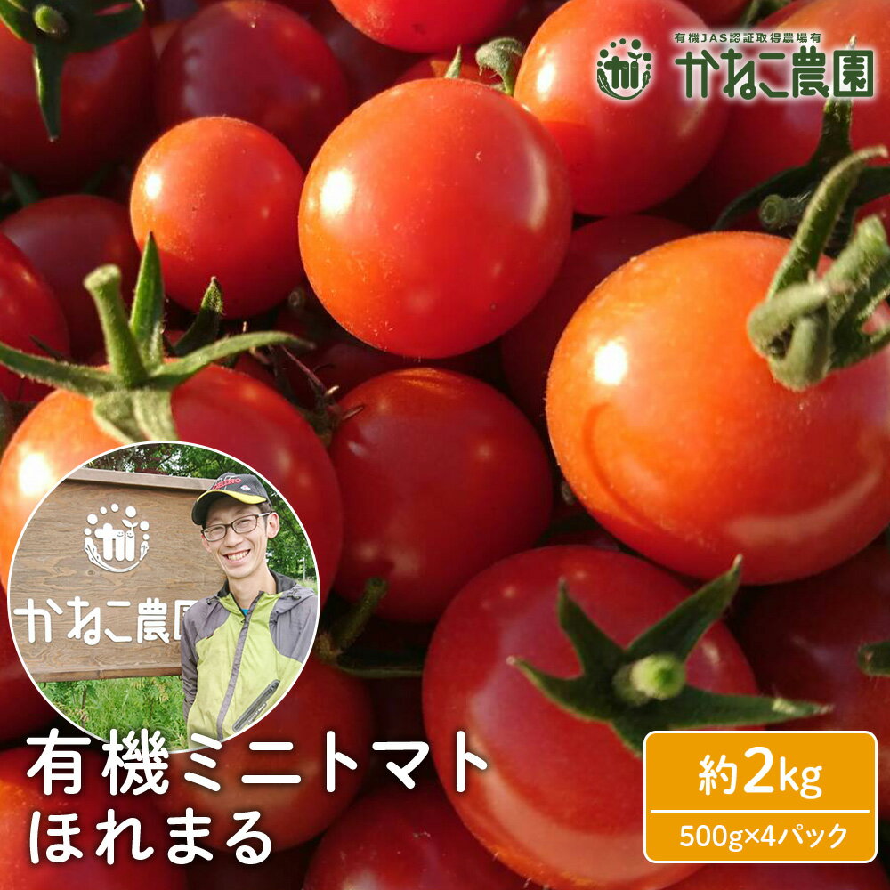 【2026年7月下旬より発送】甘さに惚れる！北海道千歳産 有機栽培ミニトマト 「ほれまる」 2kg（500gパック*4）【かねこ農園】北海道ふるさと納税 野菜 ミニトマト 有機栽培 有機ミニトマト ほれまる JAS認定圃場 北海道 【北海道千歳市】