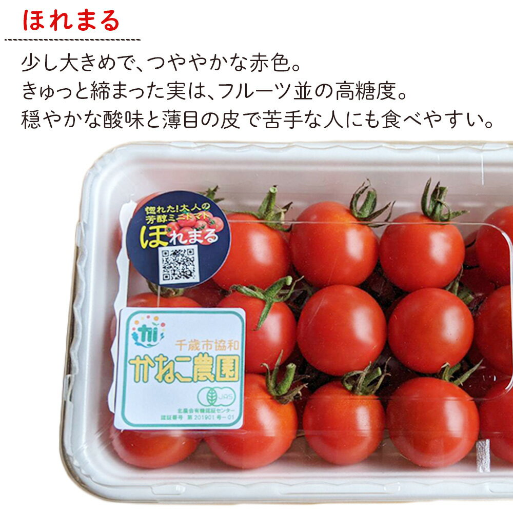 【ふるさと納税】【2026年7月下旬より発送】甘さに惚れる！北海道千歳産 有機栽培ミニトマト 「ほれまる」 2kg（500gパック*4）【かねこ農園】北海道ふるさと納税 野菜 ミニトマト 有機栽培 有機ミニトマト ほれまる JAS認定圃場 北海道 【北海道千歳市】 - 画像3