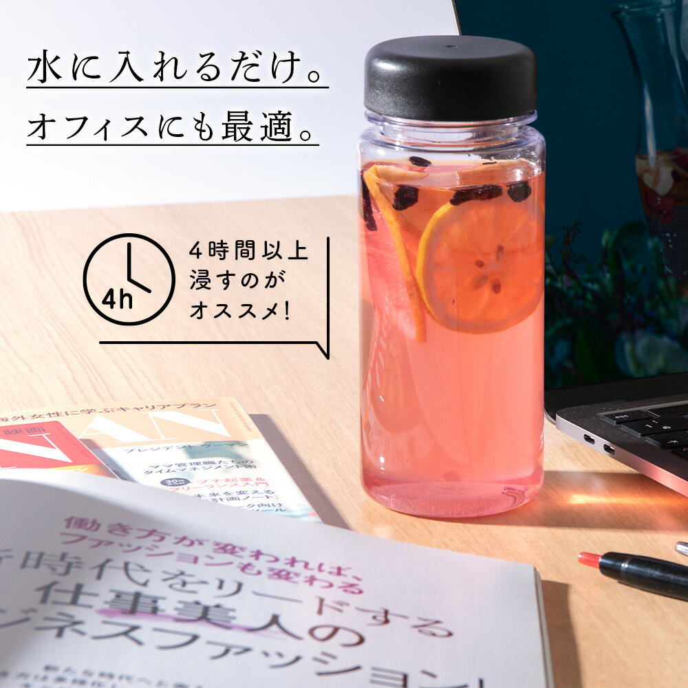 【ふるさと納税】 ドライフルーツ (5g×12個) 砂糖不使用 無添加 デトックスウォーター用 ヘルシー 健康 デトックスドライフルーツ ハスカップ レモン プルーン リンゴ りんご 林檎【北海道千歳市】ギフト ふるさと納税 サムネイル2