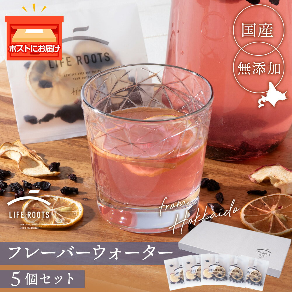 フレーバーウォーター5個セット ドライフルーツ 無添加 ヘルシー 健康 デトックス 北海道 千歳 フルーツ ギフトハスカップ リンゴ プルーン レモン フルーツ 果物 セット ドライフルーツ【北海道千歳市】ギフト ふるさと納税