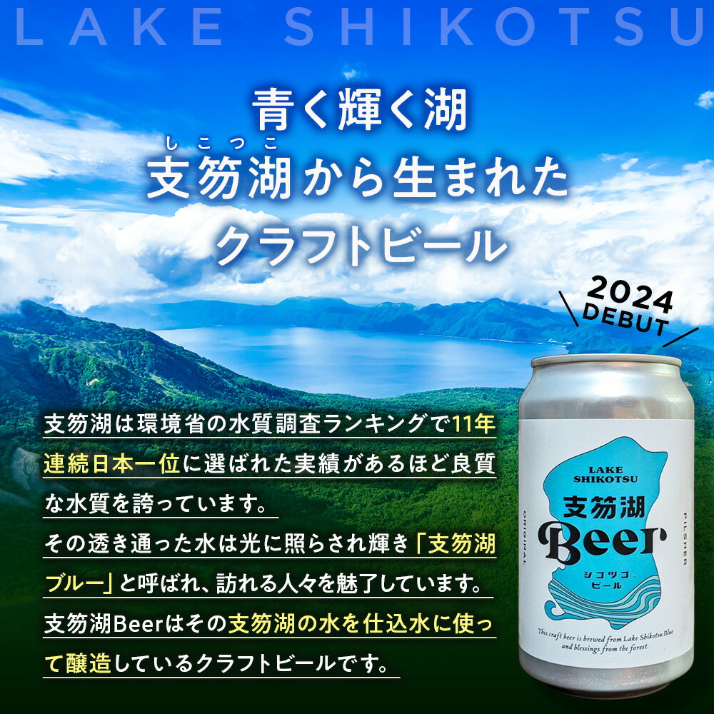 【ふるさと納税】支笏湖Beer 缶 350ml 3種 6本 ビール クラフトビール北海道 ふるさと納税 クラフトビール お酒 ギフト 酒【北海道千歳市】ビール ギフト ふるさと納税 サムネイル2