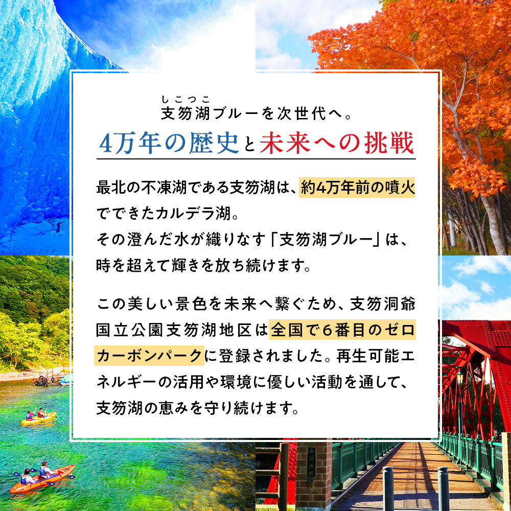 【ふるさと納税】支笏湖Beer 缶 350ml 3種 6本 ビール クラフトビール北海道 ふるさと納税 クラフトビール お酒 ギフト 酒【北海道千歳市】ビール ギフト ふるさと納税 サムネイル3
