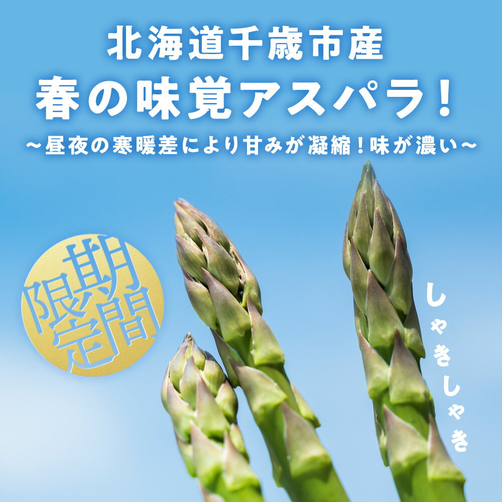 【ふるさと納税】2026年春発送 グリーンアスパラ 1kg M〜2L 北海道千歳産 野菜 アスパラガス アスパラ 2026年5月上旬〜6月中旬にかけて順次発送 北海道ふるさと納税 千歳市 ふるさと納税【北海道千歳市】ギフト ふるさと納税 サムネイル2