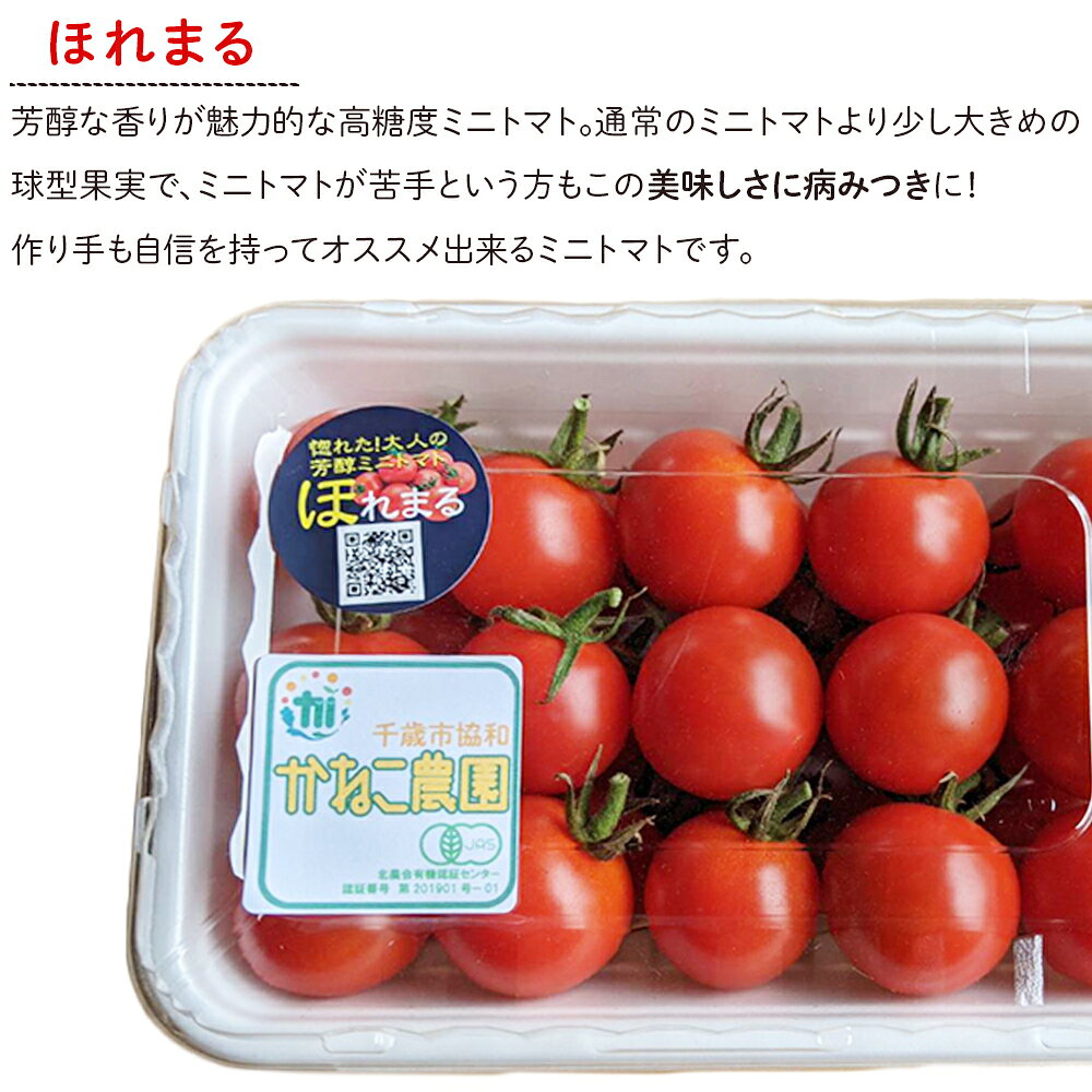 【ふるさと納税】【2026年7月下旬より発送】有機ミニトマト2種セット(2kg)【かねこ農園】北海道ふるさと納税 野菜 ミニトマト 有機栽培 有機ミニトマト ほれまる CF千果 JAS認定圃場 北海道 【北海道千歳市】 - 画像3