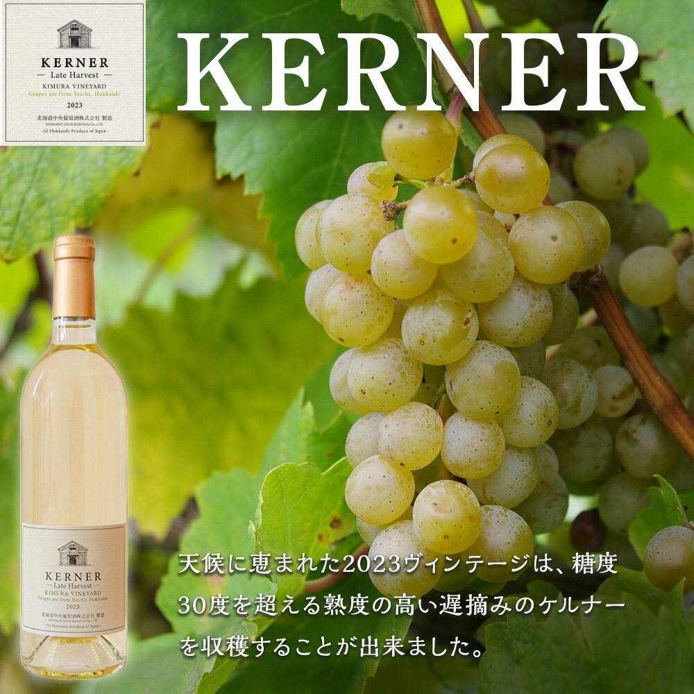 【ふるさと納税】【日本ワインコンクール2024 銀賞】北ワイン ケルナー レイトハーベスト 2023 ワイン 白 白ワイン 甘口 酒 ギフト 千歳 北海道北海道ふるさと納税 千歳市 ふるさと納税【北海道千歳市】ギフト ふるさと納税 サムネイル2