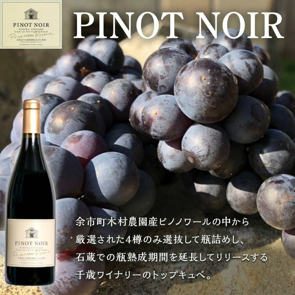 【ふるさと納税】【日本ワインコンクール2024 銀賞】北ワイン ピノノワール 2021 プライベートリザーブ ×2本 ワイン 赤 赤ワイン ミディアムボディ 酒 ギフト 千歳 北海道北海道ふるさと納税 千歳市 ふるさと納税【北海道千歳市】ギフト ふるさと納税 サムネイル2