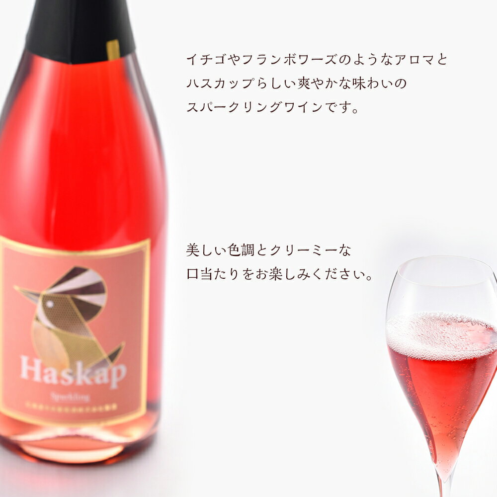 【ふるさと納税】 千歳ワイナリー ハスカップスパークリング750ml×1本 お酒 シャンパン スパークリングワイン【北海道千歳市】ギフト ふるさと納税 クリスマス サムネイル3