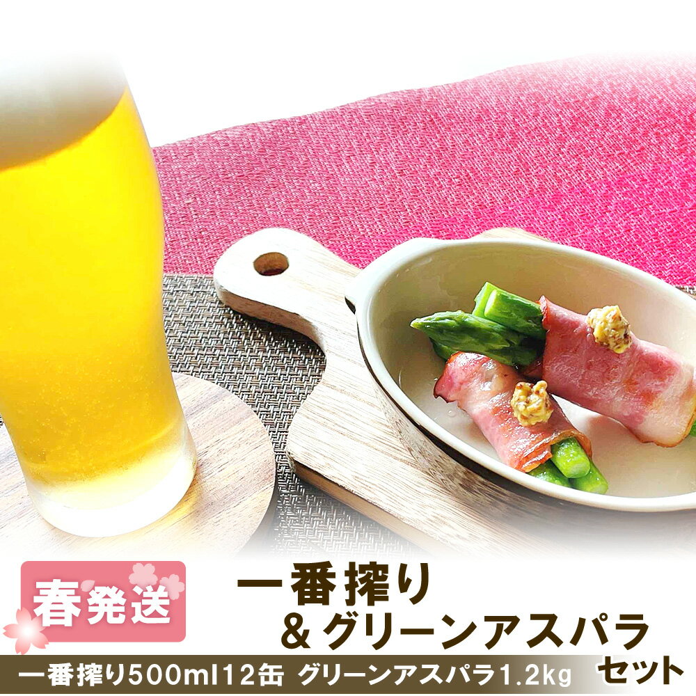 2026年春発送 キリン一番搾り 500ml12缶＆グリーンアスパラ1.2kg 北海道千歳産 野菜 ビール アスパラガス アスパラ 5月中旬〜6月中旬にかけて順次発送 北海道ふるさと納税 千歳市 ふるさと納税【北海道千歳市】ギフト 麒麟 KIRIN