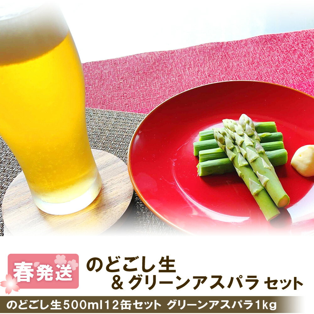 2026年春発送 キリンのどごし生 500ml12缶＆グリーンアスパラ1kg 北海道千歳産 野菜 ビール アスパラガス アスパラ 5月中旬〜6月中旬にかけて順次発送 北海道ふるさと納税 千歳市 ふるさと納税【北海道千歳市】ギフト 麒麟 KIRIN