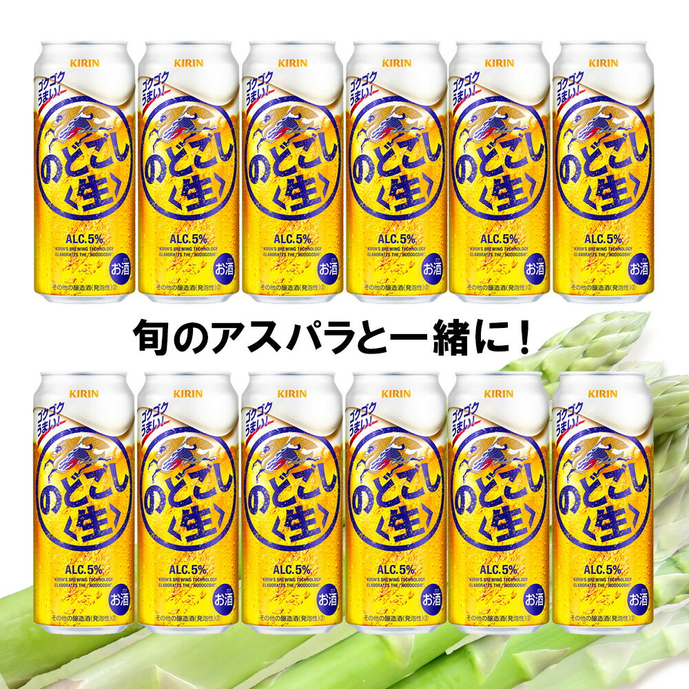 【ふるさと納税】 2026年春発送 キリンのどごし生 500ml12缶＆グリーンアスパラ1kg 北海道千歳産 野菜 ビール アスパラガス アスパラ 5月中旬〜6月中旬にかけて順次発送 北海道ふるさと納税 千歳市 ふるさと納税【北海道千歳市】ギフト 麒麟 KIRIN - 画像2