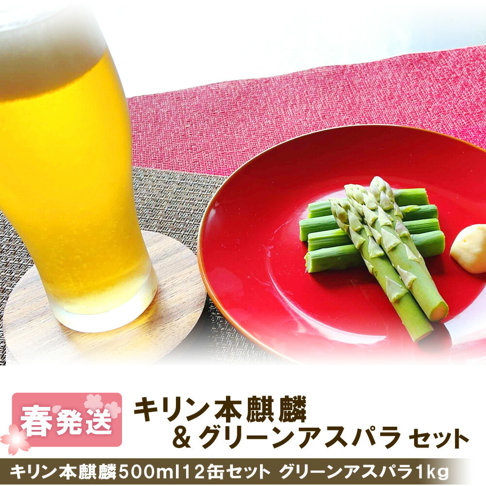 2026年春発送 キリン本麒麟 500ml12缶＆グリーンアスパラ1kg 北海道千歳産 野菜 ビール アスパラガス アスパラ 5月中旬〜6月中旬にかけて順次発送 北海道ふるさと納税 千歳市 ふるさと納税【北海道千歳市】ギフト ふるさと納税 KIRIN