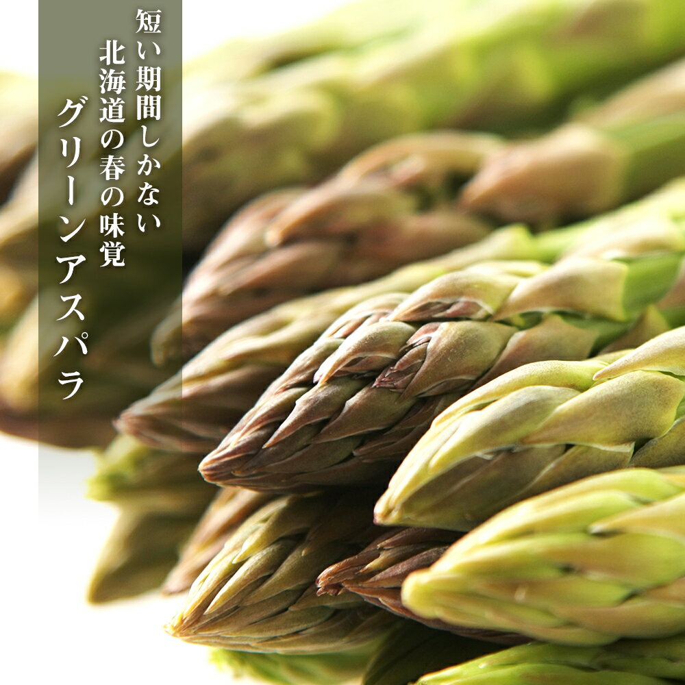【ふるさと納税】 2026年春発送 キリン本麒麟 500ml12缶＆グリーンアスパラ1kg 北海道千歳産 野菜 ビール アスパラガス アスパラ 5月中旬〜6月中旬にかけて順次発送 北海道ふるさと納税 千歳市 ふるさと納税【北海道千歳市】ギフト ふるさと納税 KIRIN - 画像3